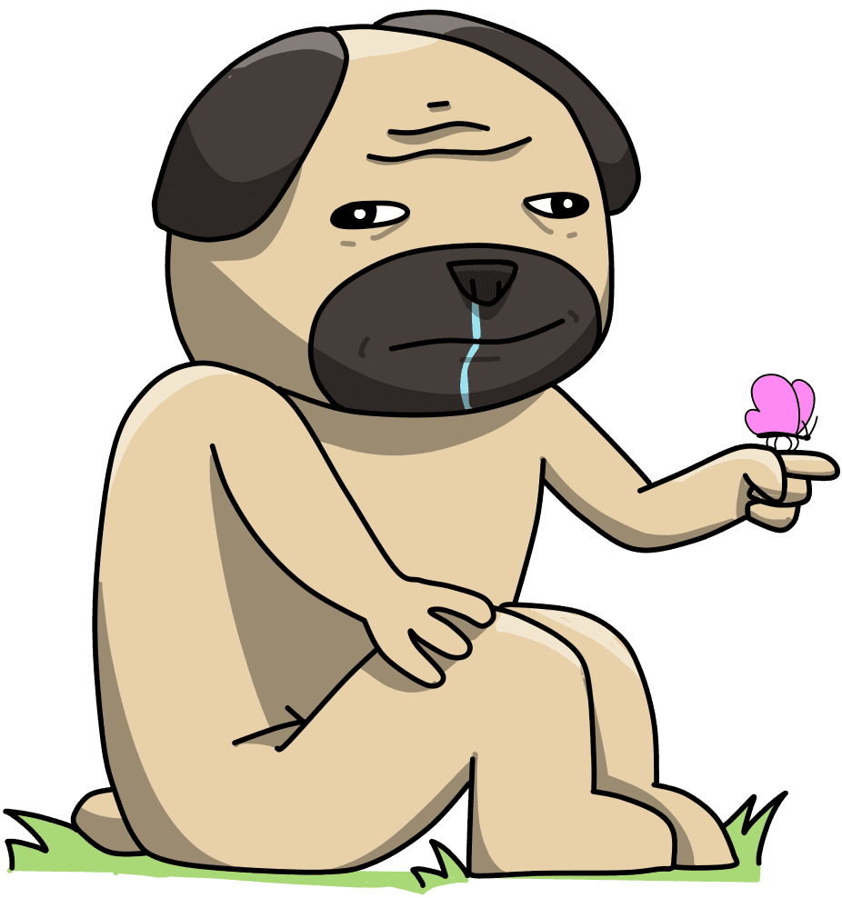 Faq Dog